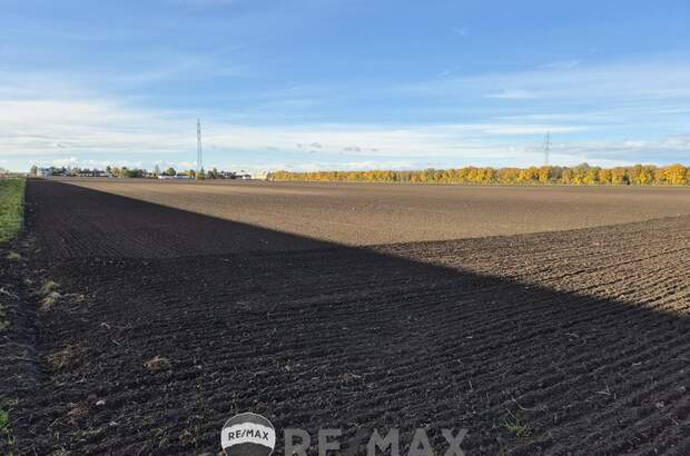 Grundstück kaufen in 1220 Wien (Bild 3)