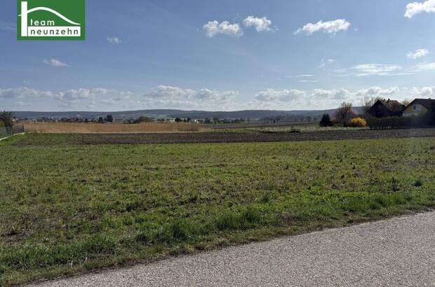 Mehrfamilienhaus kaufen in 2111 Tresdorf (Bild 2)