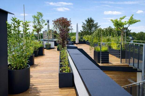 Terrassenwohnung kaufen in 1220 Wien (Bild 2)