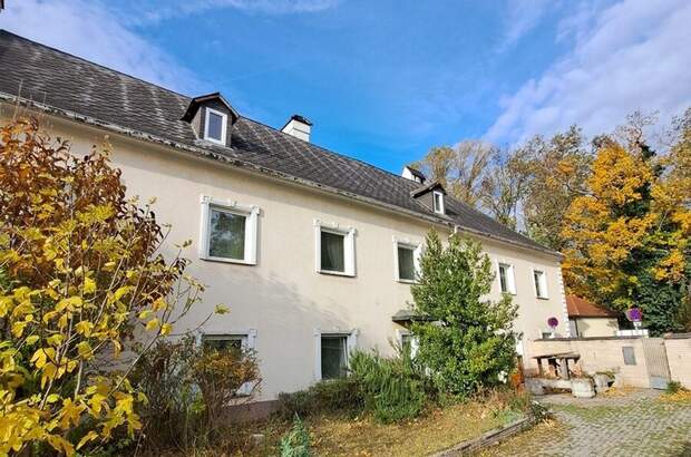 Haus mit Garten kaufen in 2512 Tribuswinkel (Bild 4)