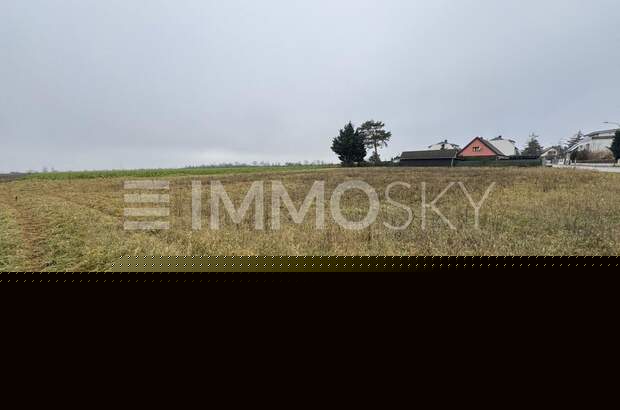 Grundstück kaufen in 2201 Kapellerfeld (Bild 2)