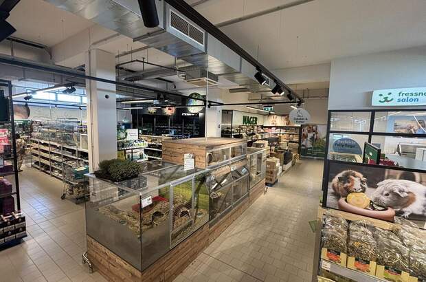 Wohnanlage kaufen in 5073 Wals (Bild 5)