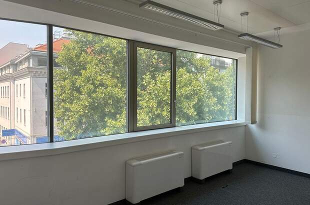 Gewerbeobjekt mieten in 1110 Wien (Bild 4)