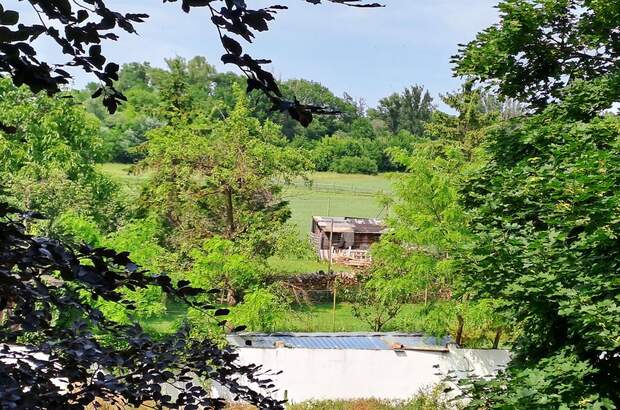 Mehrfamilienhaus kaufen in 2431 Enzersdorf (Bild 2)
