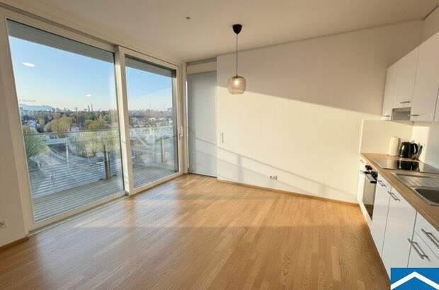 Terrassenwohnung mieten in 1030 Wien (Bild 1)