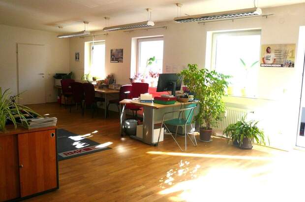 Gewerbeobjekt mieten in 9560 Feldkirchen (Bild 3)