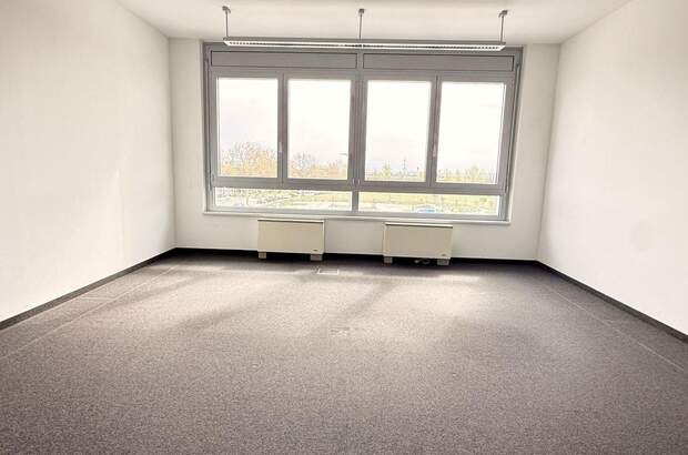 Gewerbeobjekt mieten in 2320 Schwechat (Bild 2)