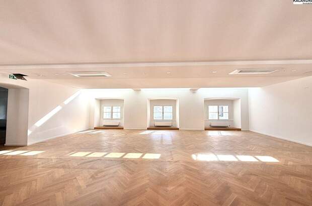 Gewerbeobjekt mieten in 1010 Wien (Bild 1)