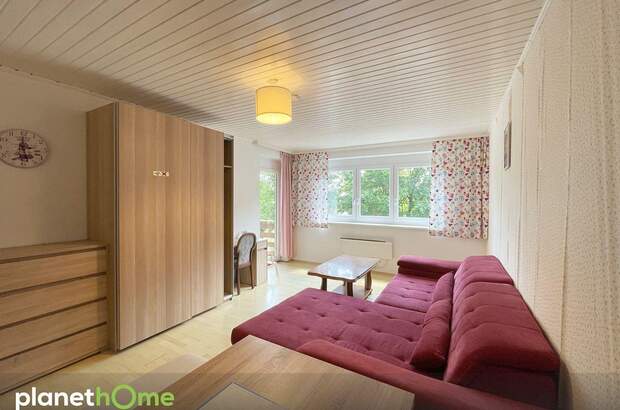 Terrassenwohnung mieten in 2431 Klein (Bild 3)