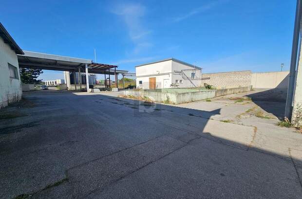 Produktion kaufen in 2413 Berg (Bild 5)