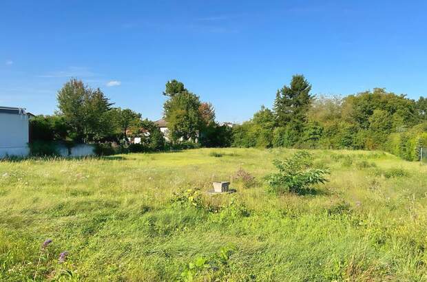 Grundstück kaufen in 3424 Wolfpassing (Bild 2)