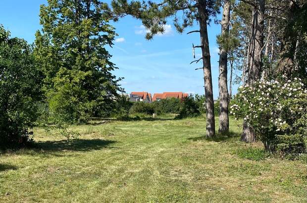 Grundstück kaufen in 2230 Gaenserndorf Sued