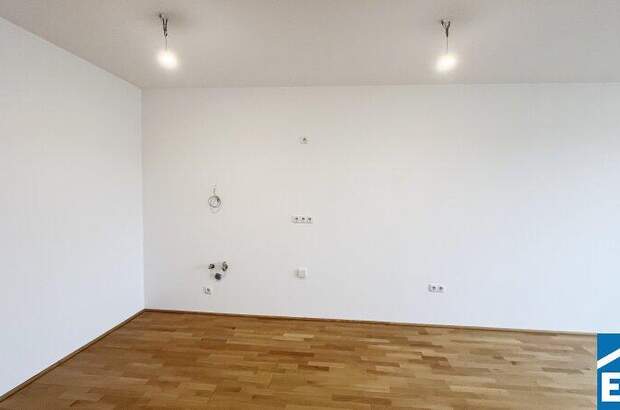 Terrassenwohnung kaufen in 1230 Wien (Bild 5)