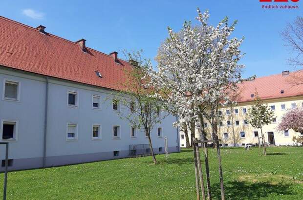 Wohnung mieten in 4400 Steyr (Bild 1)