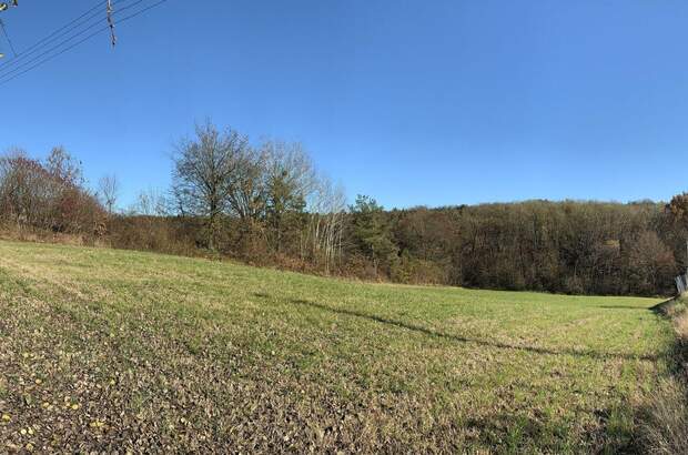 Grundstück kaufen in 8380 Jennersdorf (Bild 3)