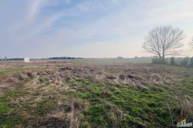 Grundstück kaufen in 2201 Seyring (Bild 2)