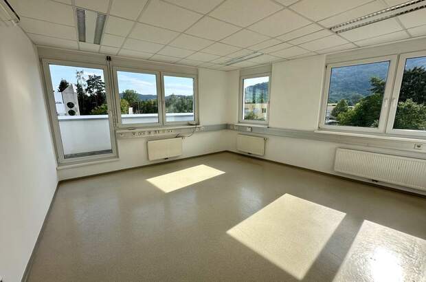 Gewerbeobjekt mieten in 8054 Graz (Bild 1)