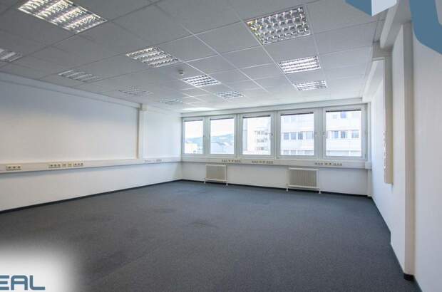 Gewerbeobjekt mieten in 4040 Linz (Bild 3)