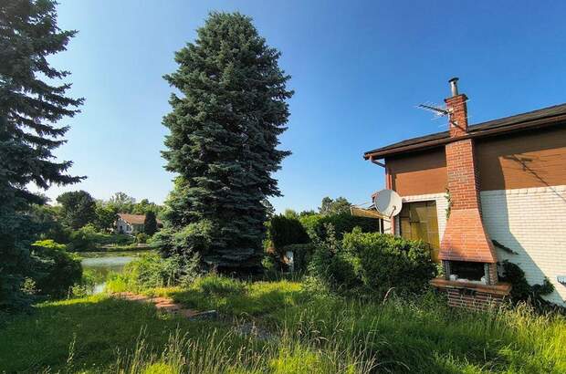 Haus kaufen in 7035 Steinbrunn (Bild 3)