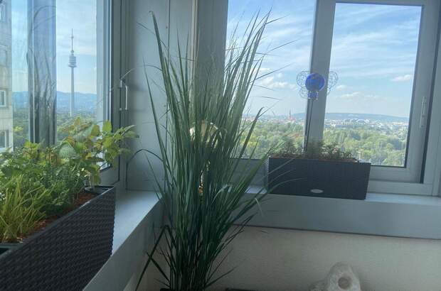 Wohnung mieten in 1220 Wien (Bild 4)