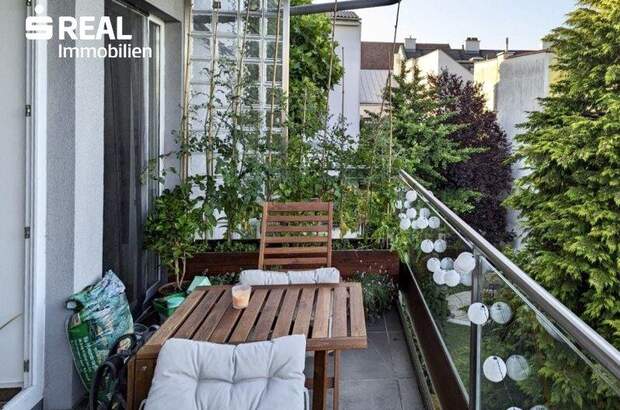 Terrassenwohnung mieten in 3100 St. Pölten (Bild 2)