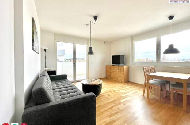 Terrassenwohnung mieten in 1230 Wien (Bild 1)