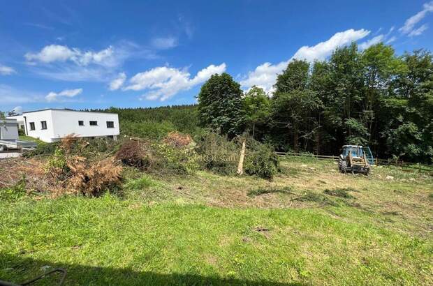 Grundstück kaufen in 4611 Buchkirchen (Bild 5)