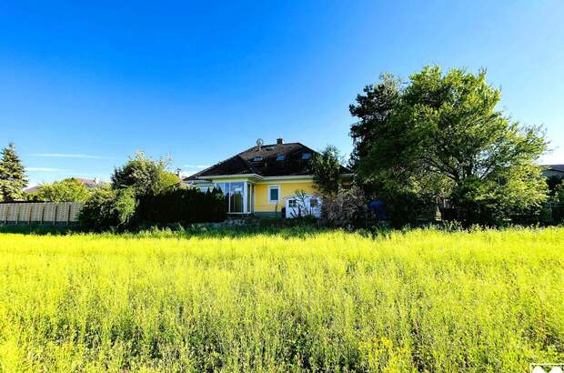 Haus kaufen in 2751 Steinabrückl (Bild 2)