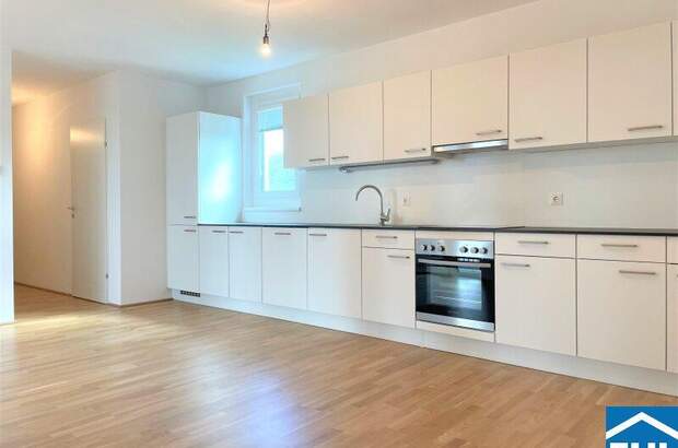 Terrassenwohnung mieten in 1100 Wien (Bild 1)