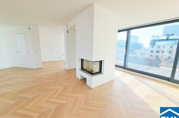 Terrassenwohnung kaufen in 1040 Wien (Bild 3)