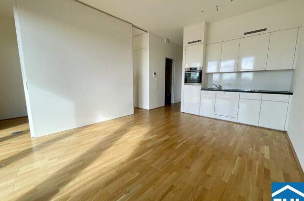 Terrassenwohnung mieten in 1030 Wien (Bild 2)