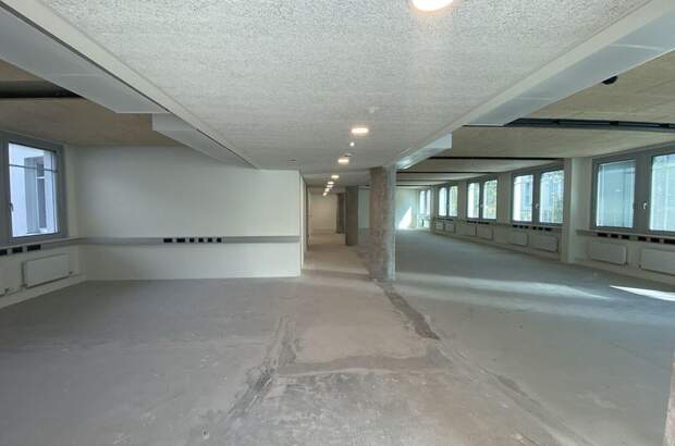 Gewerbeobjekt mieten in 1020 Wien (Bild 3)