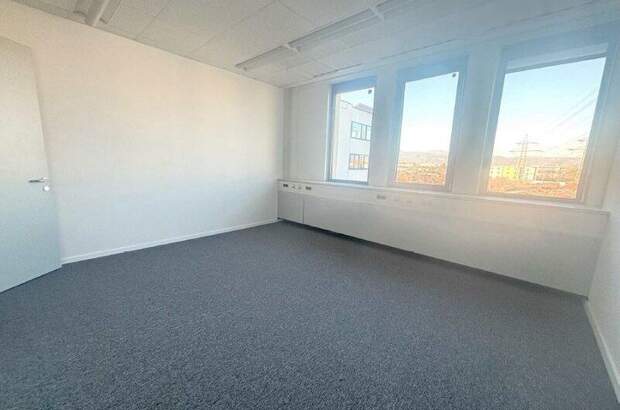 Büro / Praxis mieten in 2351 Wr. Neudorf (Bild 3)