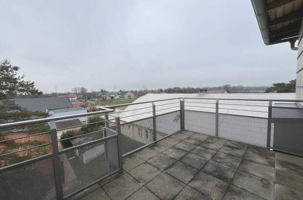 Terrassenwohnung mieten in 2232 Deutsch (Bild 5)