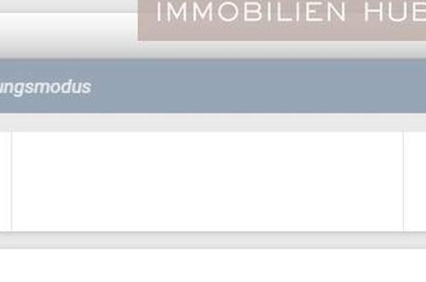 Gewerbeobjekt mieten in 1010 Wien (Bild 4)