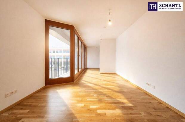 Terrassenwohnung mieten in 1230 Wien (Bild 4)