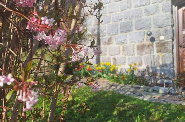 Haus kaufen in 4910 Ried (Bild 1)