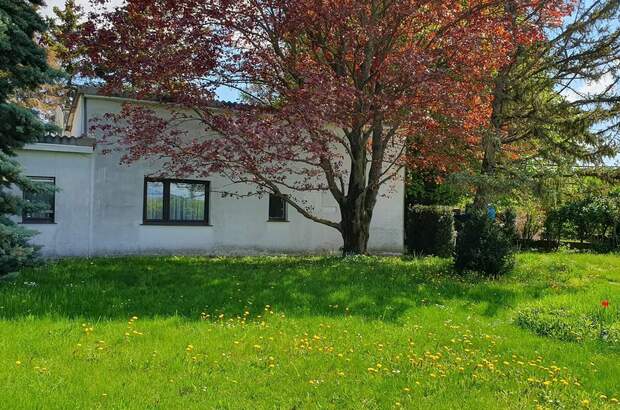 Einfamilienhaus kaufen in 1220 Wien (Bild 1)