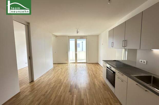Terrassenwohnung mieten in 1220 Wien (Bild 3)
