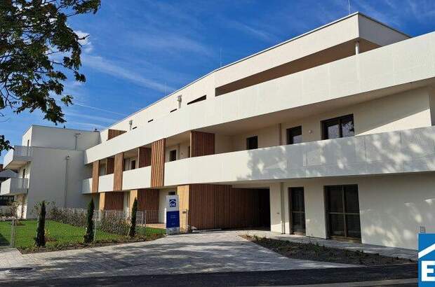 Büro / Praxis kaufen in 7100 Neusiedl (Bild 3)