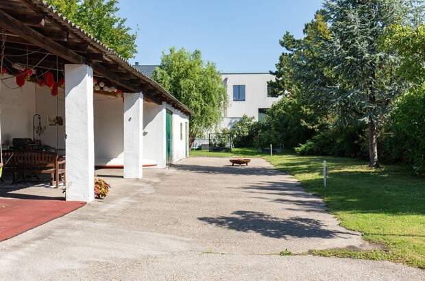 Anlageobjekt kaufen in 2472 Prellenkirchen (Bild 3)