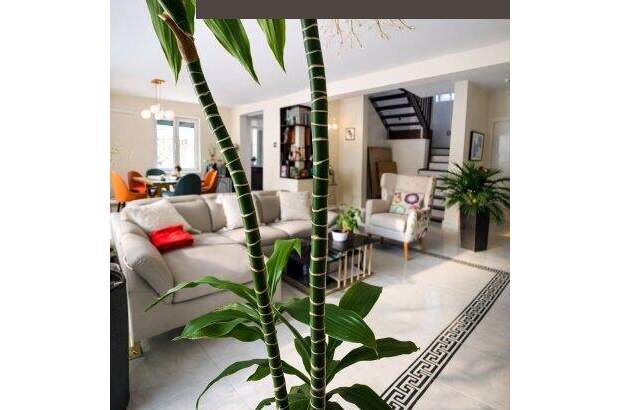 Einfamilienhaus kaufen in 1220 Wien (Bild 3)