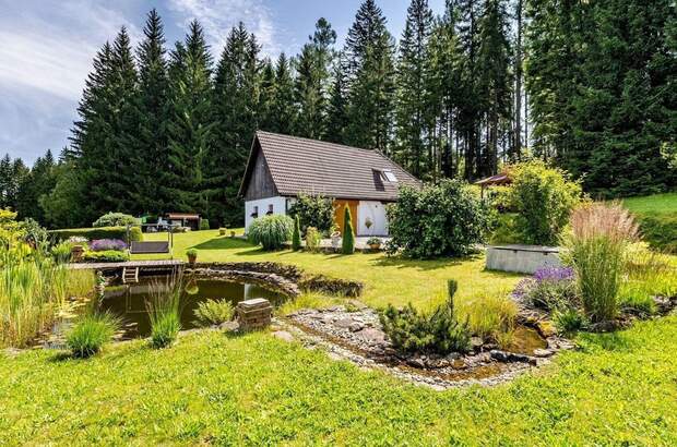 Haus kaufen in 38279 Frymburk (Bild 3)