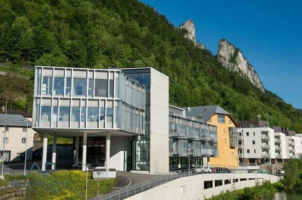 Terrassenwohnung mieten in 5400 Hallein (Bild 1)
