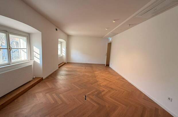 Gewerbeobjekt mieten in 1010 Wien (Bild 3)