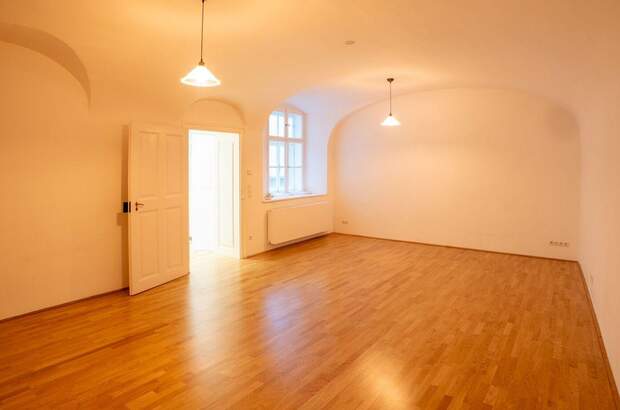 Gewerbeobjekt mieten in 1010 Wien (Bild 1)