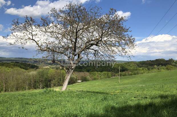 Haus kaufen in 8382 Weichselbaum (Bild 2)