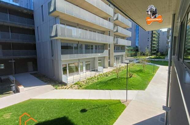 Gewerbeobjekt mieten in 1220 Wien 22. (Bild 1)