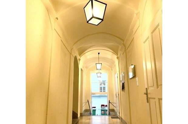 Terrassenwohnung mieten in 1010 Wien (Bild 3)