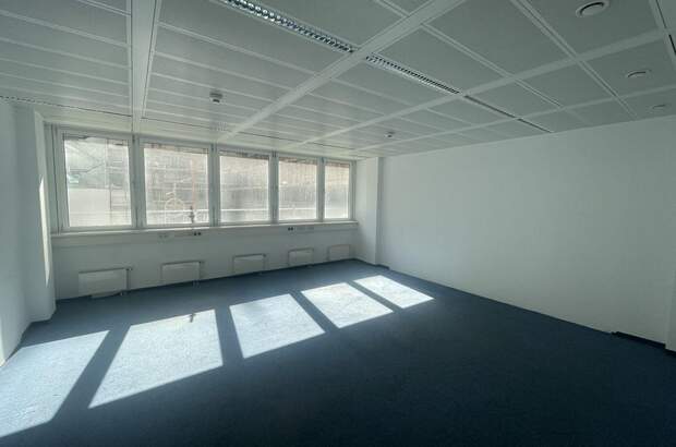 Gewerbeobjekt mieten in 1020 Wien (Bild 3)